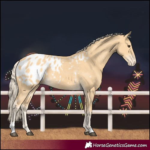 Horse Color:Palomino Blanket