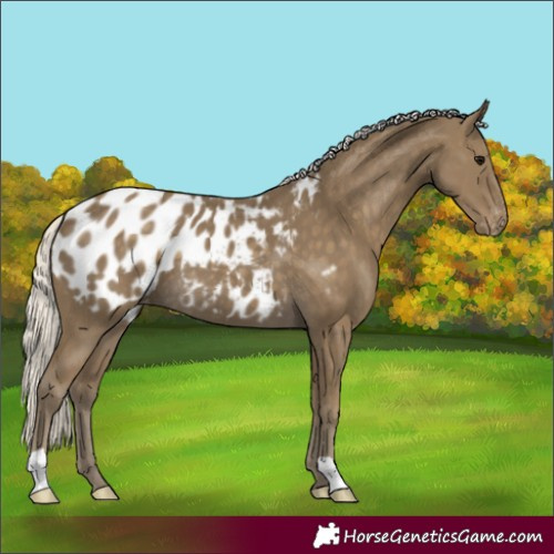 Horse Color:Silver Smoky Black Blanket