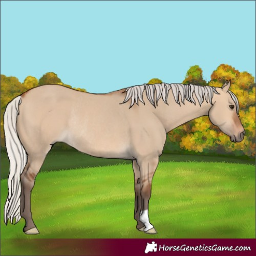 Horse Color:Silver Bay Dun Rabicano 