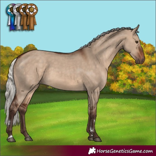 Horse Color:Silver Brown Dun Rabicano