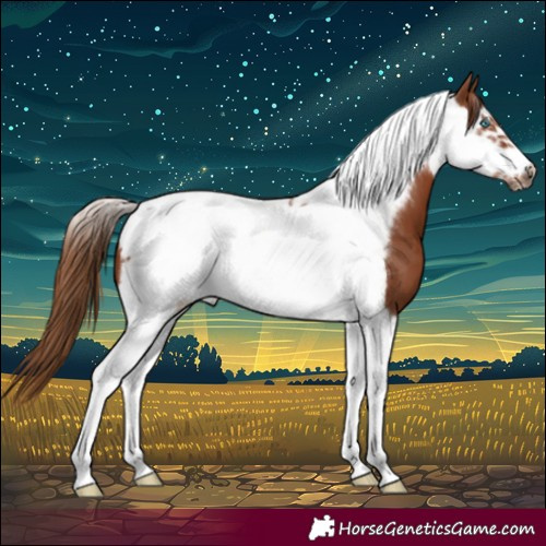 Horse Color:Chestnut Tobiano Frame 
