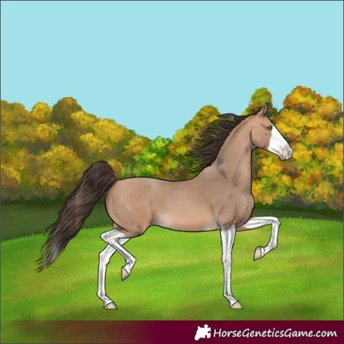 Horse Color:Amber Champagne Splash 