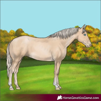 Horse Color:Palomino Pearl 