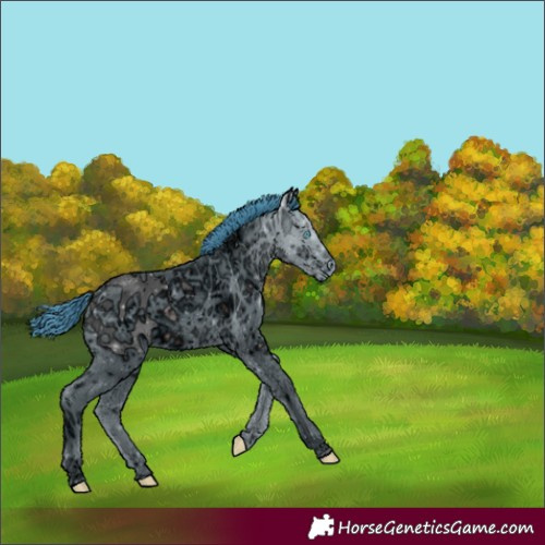 Horse Color:ERROR: UNKNOWN ANOMALY