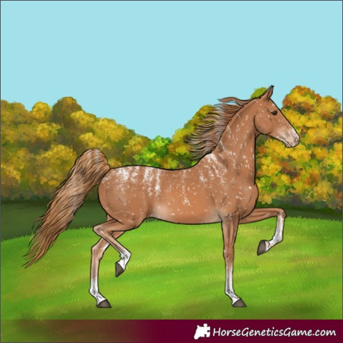 Horse Color:Powder White Chestnut Snowflake Varnish