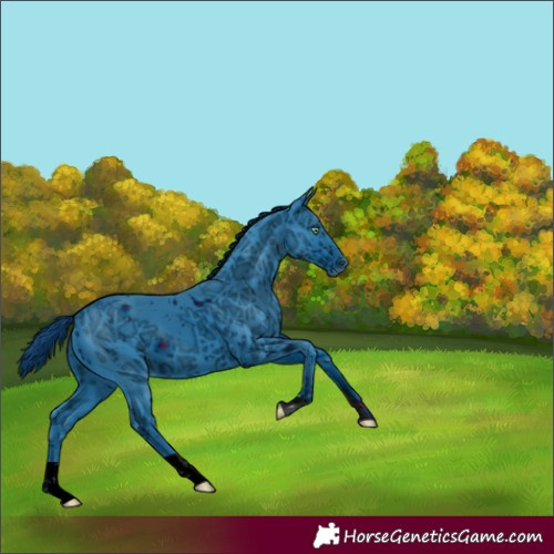 Horse Color:ERROR: UNKNOWN ANOMALY