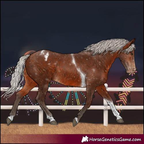 Horse Color:Silver Brown Tobiano Blanket Rabicano 