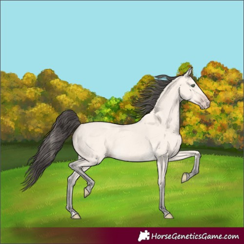 Horse Color:Amber Cream Champagne