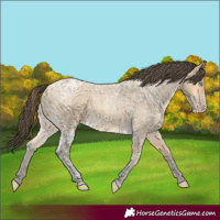 Horse Color:Sable Cream Champagne Ice Roan 