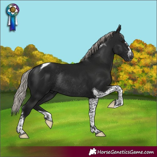Horse Color:Gray Silver Bay Tobiano Rabicano 