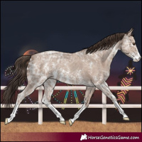 Horse Color:Classic Champagne Ice Sabino 