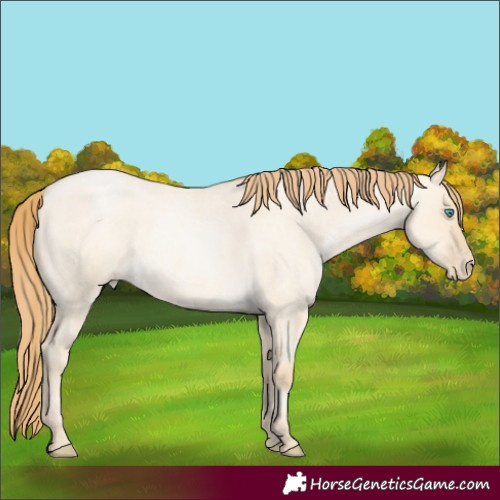 Horse Color:Smoky Grullo Roan Pearl 