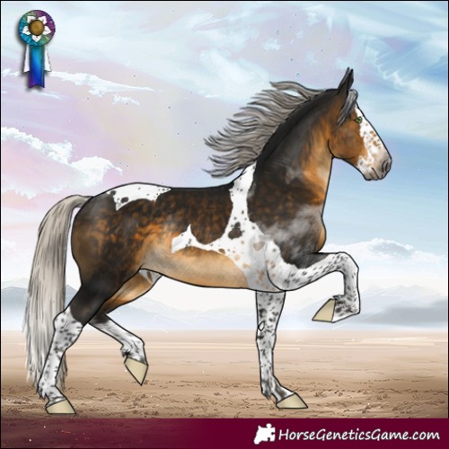 Horse Color:Gray Silver Buckskin Splash Tobiano Rabicano 
