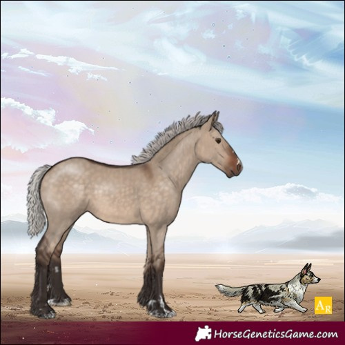 Horse Color:Silver Bay Dun 