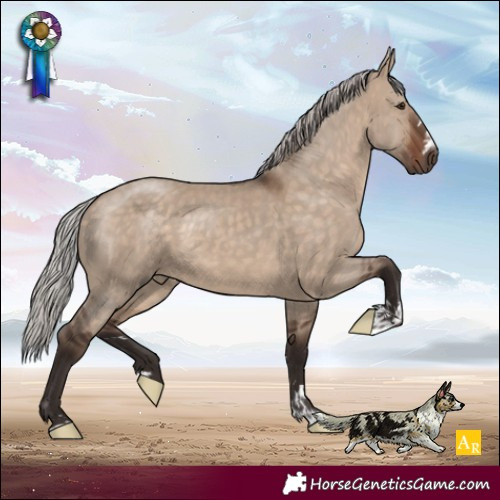 Horse Color:Silver Bay Dun 