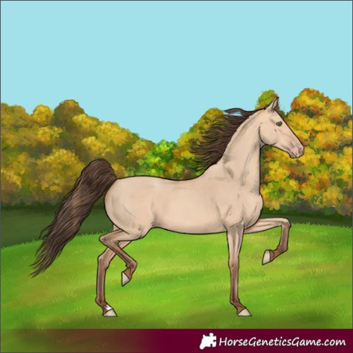 Horse Color:Amber Champagne Dun