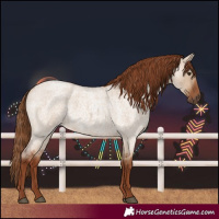 Horse Color:Red Dun Roan Rabicano