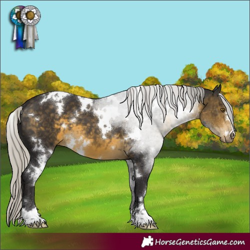 Horse Color:White Spotted Silver Buckskin