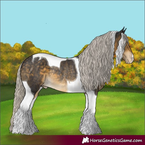 Horse Color:Silver Buckskin Tobiano Varnish Rabicano 