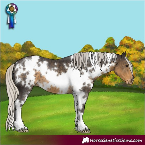 Horse Color:White Spotted Silver Smoky Black Appaloosa 
