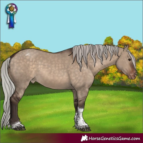 Horse Color:Silver Brown Dun Tobiano Appaloosa Rabicano 