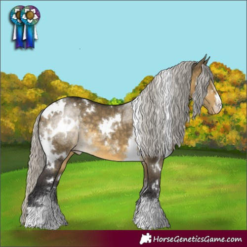 Horse Color:White Spotted Silver Buckskin Dun Varnish
