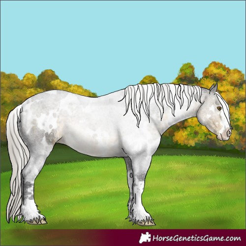 Horse Color:White Spotted Silver Buckskin