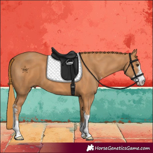 Horse Color:Chestnut Sabino