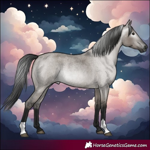 Horse Color:Gray Grullo Roan 