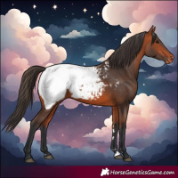 Horse Color:Bay Snowcap 