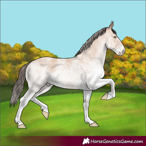 Horse Color:White Spotted Amber Champagne 