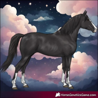 Horse Color:Smoky Black