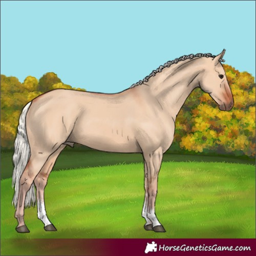 Horse Color:Silver Brown Dun Sabino