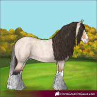 Horse Color:Bay Roan Dun Splash