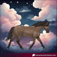 Horse Color:White Spotted Liver Red Dun 