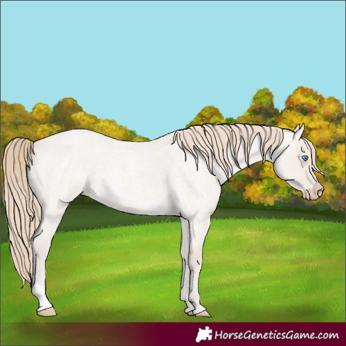 Horse Color:Smoky Creme Roan Dun 