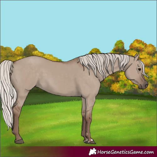 Horse Color:Silver Grullo