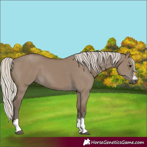Horse Color:Silver Grullo