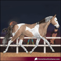 Horse Color:Amber Champagne Splash Tobiano