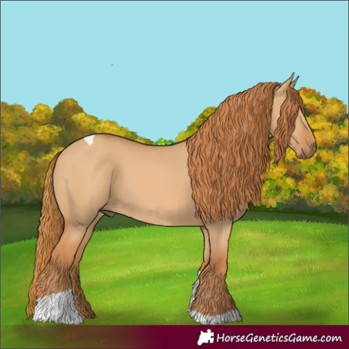 Horse Color:Red Dun Tobiano 