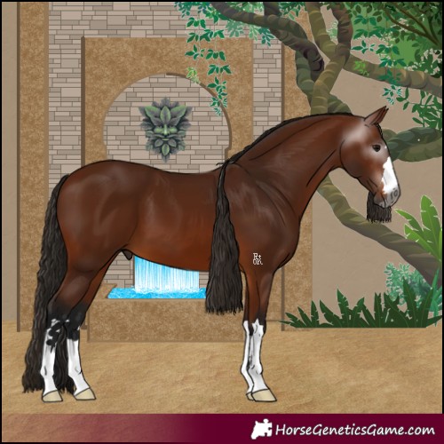 Horse Color:Gray Bay
