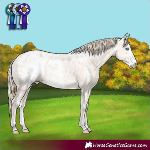 Horse Color:White Spotted Perlino Dun Sabino Appaloosa 