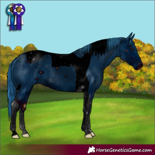 Horse Color:ERROR: UNKNOWN ANOMALY