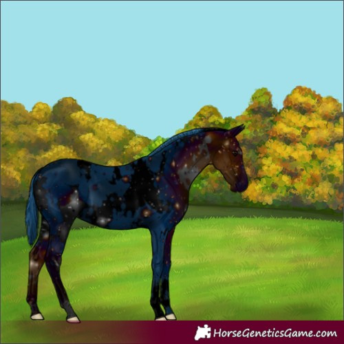 Horse Color:ERROR: UNKNOWN ANOMALY