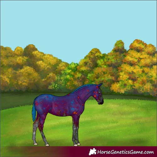 Horse Color:ERROR: UNKNOWN ANOMALY