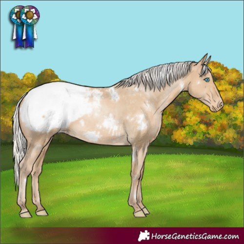Horse Color:White Spotted Silver Smoky Black Pearl Appaloosa 