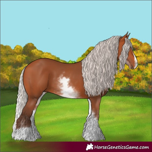 Horse Color:White Spotted Silver Bay Splash 