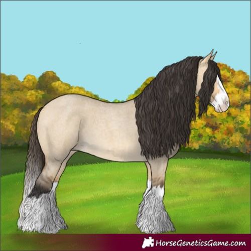 Horse Color:Buckskin Roan Dun Splash 