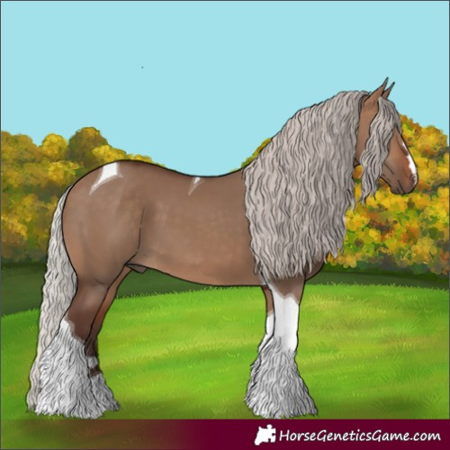 Horse Color:Silver Brown Dun Tobiano