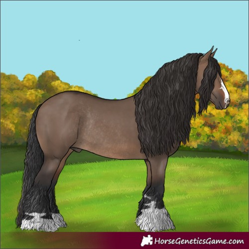 Horse Color:Brown Dun Rabicano